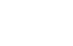 Logo_Autovias_LaLinea_VERT-300x191